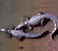 crocodylus_siamensis.jpg