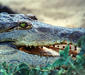 orinoco_crocodile.jpg