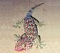 gekko_gecko2