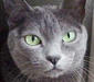 korat_2