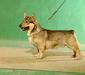 vastgotaspets_2