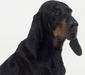 black-and-tan_coonhound_2