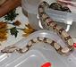 boa_constrictor_linnaeus3